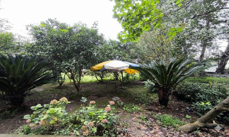 اجاره خونه باغ نیکوکار 1