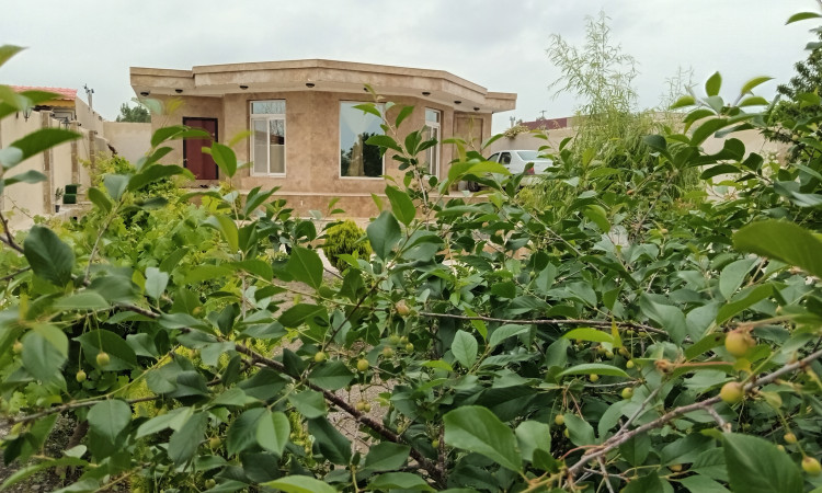 اجاره ویلا کاخ استخردار