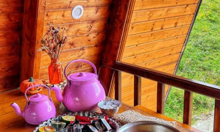 اجاره کلبه سوئیسی دوبلکس نیما