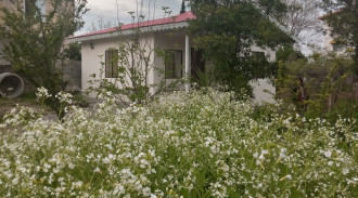 باغ ویلای 2 خوابه صدرا