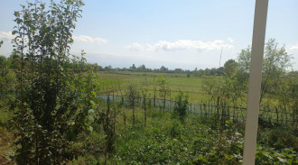 اجاره ویلا گیلان نزدیک دریا