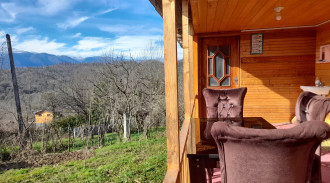 كوخ الناصري الخشبي