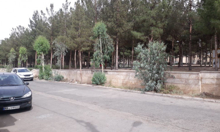 اجاره آپارتمان دو خوابه دنج