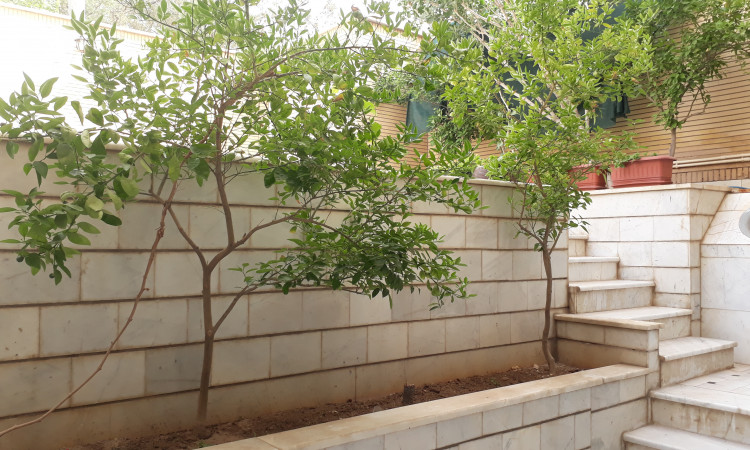اجاره آپارتمان دو خوابه دنج