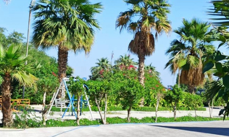 رزرو اپارتمان تک خواب همکف غربی