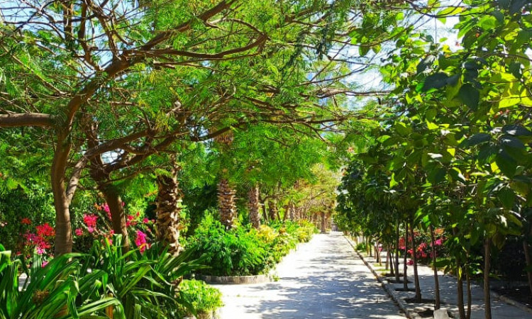 رزرو اپارتمان تک خواب همکف غربی