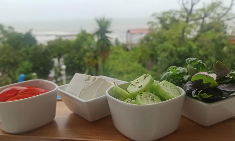 باغ ویلای دوبلکس ساحلی صبا