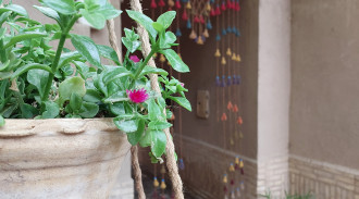 بی بی مروارید - اتاق 1