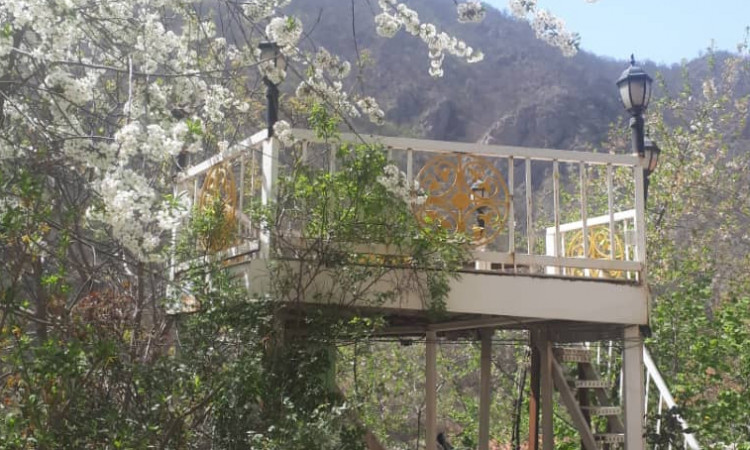 اجاره ویلا باغ جنگلی سعدی پور