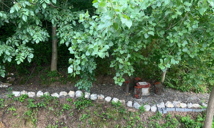 اجاره کلبه سوئیسی رستا 2 جکوزی دار
