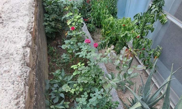 اجاره سوییت80متری تاجی زادگان