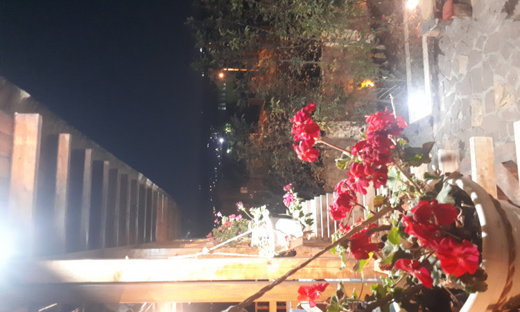 اجاره اقامتگاه بومگردی گل کاه (اتاق1)