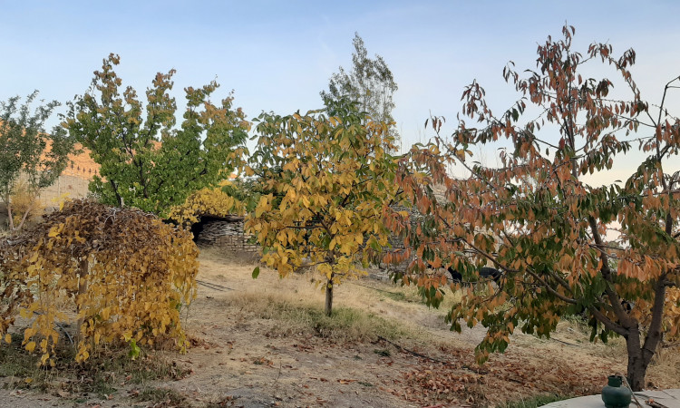 باغ ویلای دنج در دل کوه با طبیعت بکر