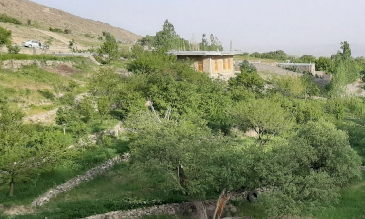 باغ ویلای دنج در دل کوه با طبیعت بکر
