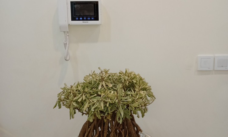 اجاره آپارتمان تک خواب لوکس
