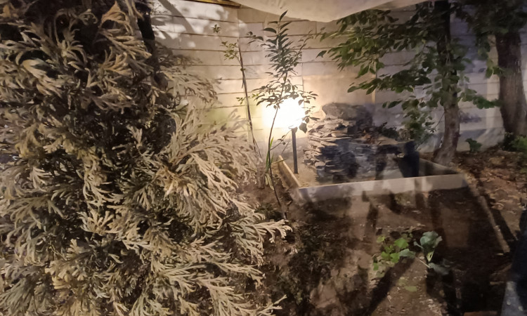 اجاره باغ ویلای تک خوابه ال سیئلو