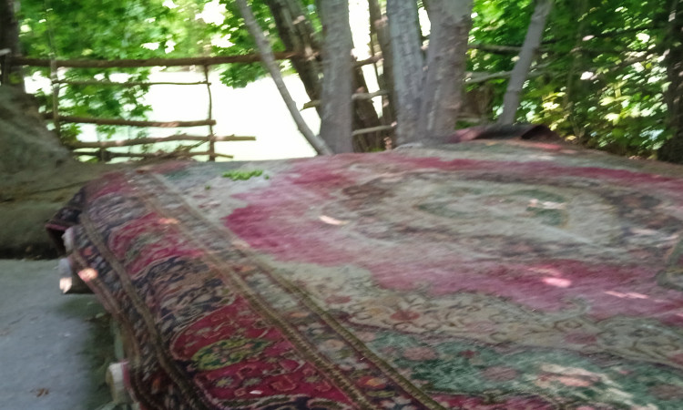 ویلای ساحلی زاینده رودقوی سفید
