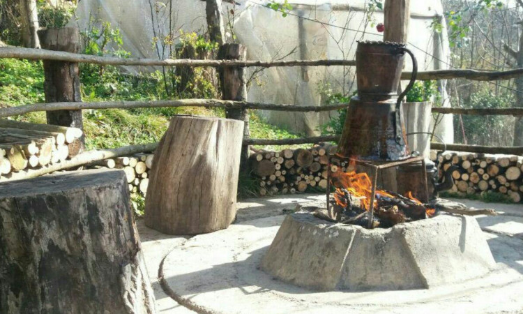 خانه مادر بزرگه (اتاق 1 )