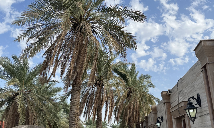 رزرو اقامتگاه باغ طالبی واحد 102