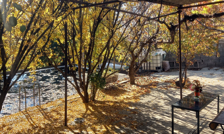 اجاره کلبه باغ گردو