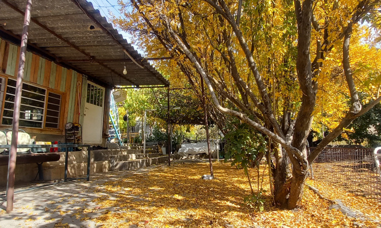 اجاره کلبه باغ گردو
