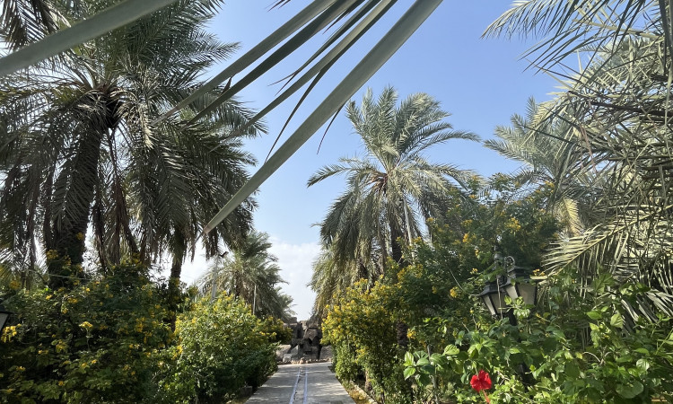 اجاره سوییت باغ طالبی واحد 105
