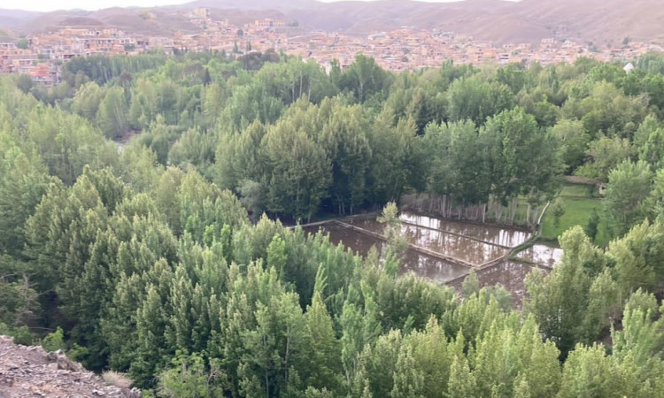 رزرو ویلا سپهر و سهیل2
