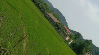 فيلا غابة بارسا