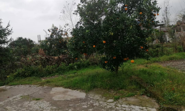 اجاره ویلا مبله تک خوابه