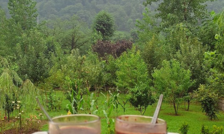 اجاره عمارت دوبلکس سبز فوشه