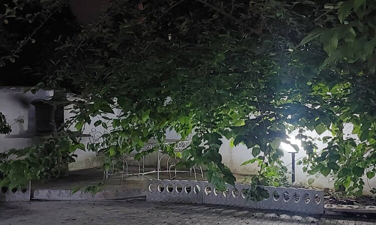 ویلا استخردار آب گرم تابستانی صدف3