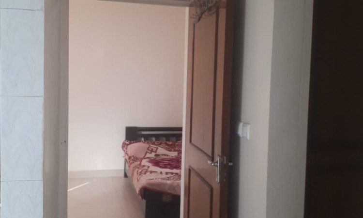 اجاره آپارتمان دوخوابه وکیلی