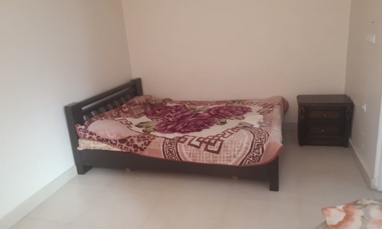 اجاره آپارتمان دوخوابه وکیلی