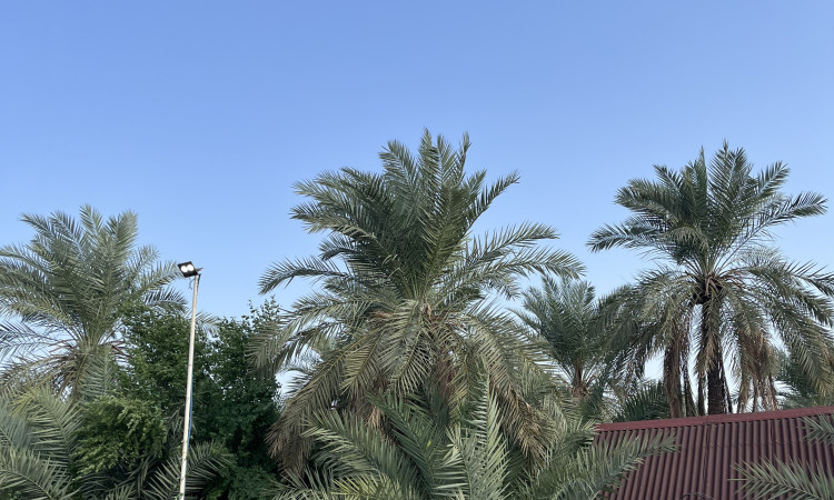 اجاره سوئیت باغ طالبی واحد 104