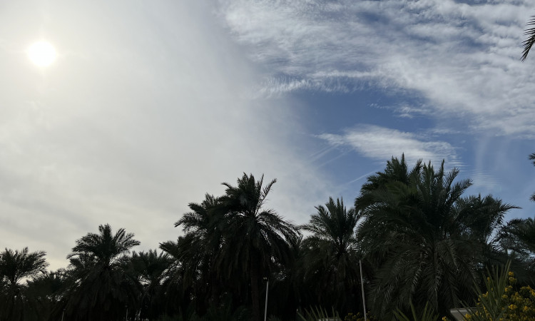 اجاره سوئیت باغ طالبی واحد 110