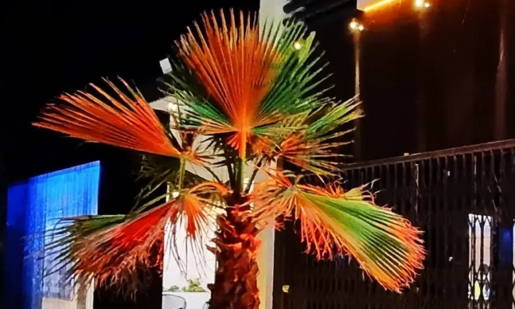 ویلا استخر دار آب گرم