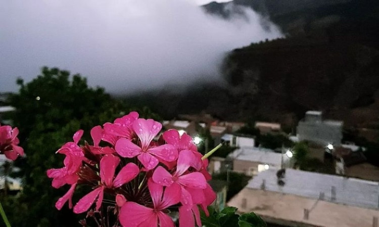 اجاره ویلا جنگلی شمعدونی