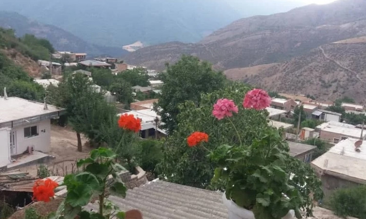 اجاره ویلا جنگلی شمعدونی