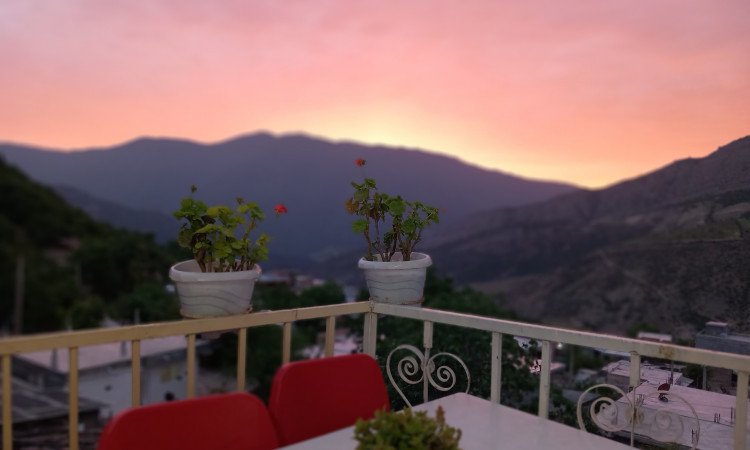 اجاره ویلا جنگلی شمعدونی