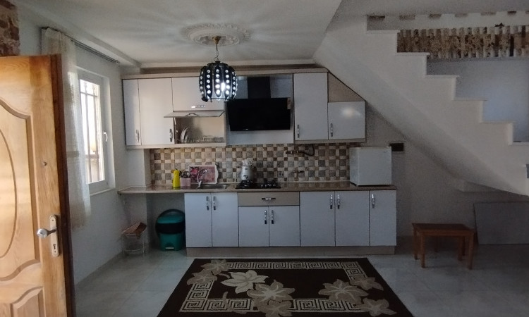 اجاره ویلای دوبلکس جنگلی منوری