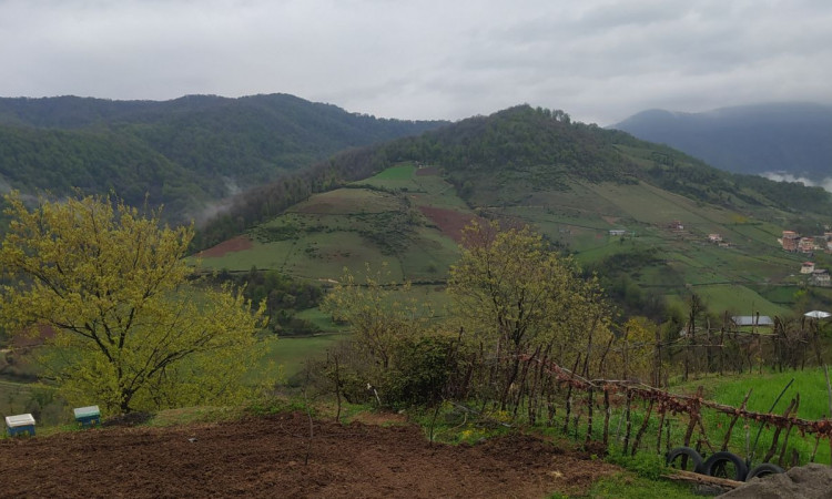 اجاره کلبه 20 متری سنگ سی سوادکوه