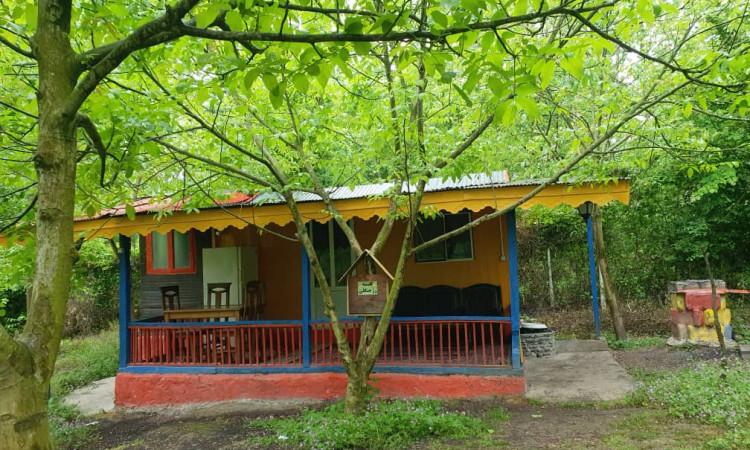 اجاره سوئیت جنگلی رز