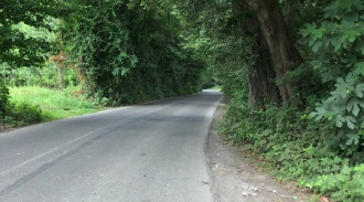 فيلا الغابة بغرفة نوم واحدة للإيجار