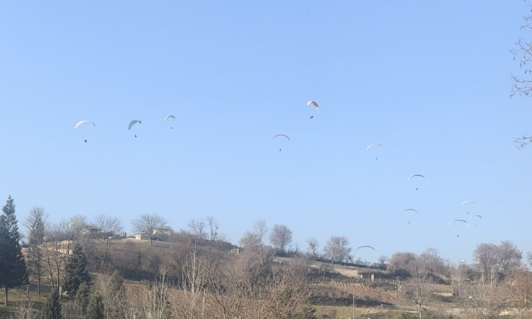 اجاره کلبه سوییسی دوبلکس سرکت