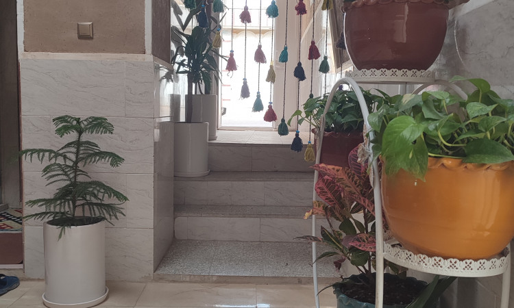 رزرو اقامتگاه بومگردی گل (گل 5)