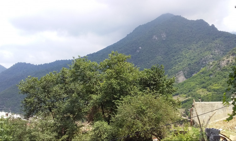 اجاره آپارتمان در روستای زیارت