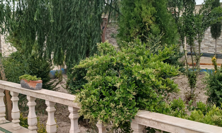 اجاره باغ ویلا استخر آب گرم و جکوزی