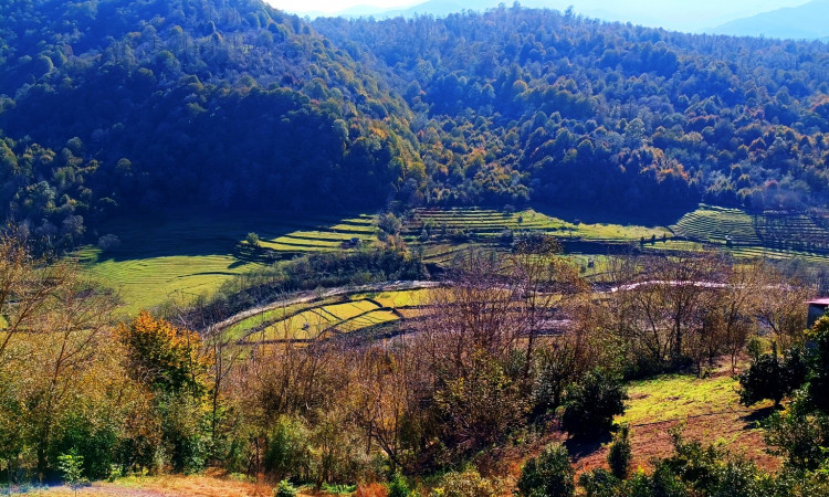 ویلای روستایی نوساز مشرف به رودخانه و جنگل در لفور