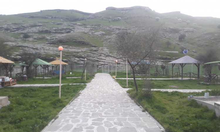 اجاره ویلا مخمل کوه لالی 4