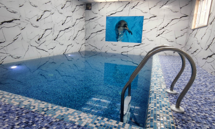 عمارت استخردار دلفین